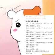 ヒメ日記 2025/03/13 15:40 投稿 のん。 ヌーベル・マリエ