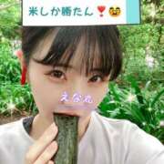 ヒメ日記 2025/05/29 12:38 投稿 エナコ びしょぬれ潮吹秘書