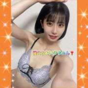 ヒメ日記 2026/05/17 11:45 投稿 エナコ びしょぬれ潮吹秘書