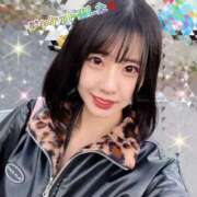 ヒメ日記 2025/11/04 12:30 投稿 エナコ びしょぬれ新人秘書