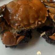 ヒメ日記 2025/09/14 18:25 投稿 かなた 谷町人妻ゴールデン倶楽部