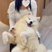 ヒメ日記 2025/10/15 00:20 投稿 かなた 谷町人妻ゴールデン倶楽部