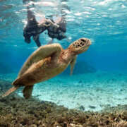 ヒメ日記 2025/11/28 16:35 投稿 かなた 谷町人妻ゴールデン倶楽部