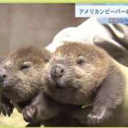 ヒメ日記 2026/05/12 22:40 投稿 かなた 谷町人妻ゴールデン倶楽部