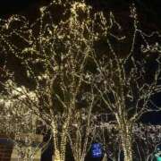 あずさ 🎄✨✨ PLAYBOY(一番町)