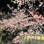 ヒメ日記 2026/04/04 19:55 投稿 あずさ PLAYBOY（一番町）