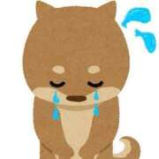 ヒメ日記 2025/07/03 11:46 投稿 とわ PLAYBOY（一番町）