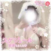 ヒメ日記 2025/10/03 07:05 投稿 まいら PLAYBOY（一番町）