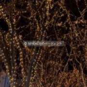 ヒメ日記 2025/12/10 11:25 投稿 まいら PLAYBOY（一番町）