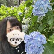 ヒメ日記 2025/06/24 09:25 投稿 みくる PLAYBOY（一番町）