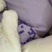 ヒメ日記 2026/02/21 09:25 投稿 みくる PLAYBOY（一番町）