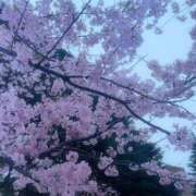 ヒメ日記 2026/04/20 21:57 投稿 るな PLAYBOY（一番町）