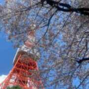 ヒメ日記 2025/03/08 10:20 投稿 もか すごいエステ池袋店