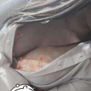 ヒメ日記 2026/03/06 10:49 投稿 れいら 深海魚