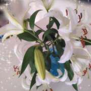 ヒメ日記 2025/07/09 06:42 投稿 あやの 素人妻達☆マイふぇらレディー