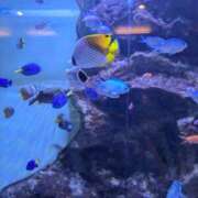 ヒメ日記 2025/07/12 06:11 投稿 あやの 素人妻達☆マイふぇらレディー