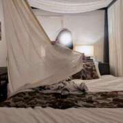 ヒメ日記 2025/09/26 20:31 投稿 あやの 素人妻達☆マイふぇらレディー