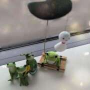 ヒメ日記 2025/10/16 06:38 投稿 あやの 素人妻達☆マイふぇらレディー