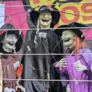 ヒメ日記 2025/10/19 08:16 投稿 あやの 素人妻達☆マイふぇらレディー