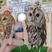 ヒメ日記 2025/10/30 07:07 投稿 あやの 素人妻達☆マイふぇらレディー