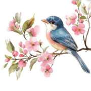 ヒメ日記 2025/12/05 06:17 投稿 あやの 素人妻達☆マイふぇらレディー