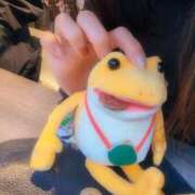 ヒメ日記 2025/12/09 16:15 投稿 あやの 素人妻達☆マイふぇらレディー