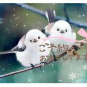 ヒメ日記 2025/12/13 10:02 投稿 あやの 素人妻達☆マイふぇらレディー