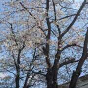 ヒメ日記 2026/03/28 15:45 投稿 あやの 素人妻達☆マイふぇらレディー