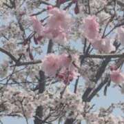 ヒメ日記 2026/04/04 19:28 投稿 あやの 素人妻達☆マイふぇらレディー