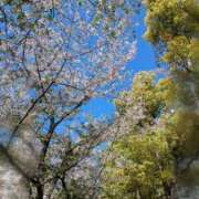 あやの マイガール登録ありがとう🩷 素人妻達☆マイふぇらレディー