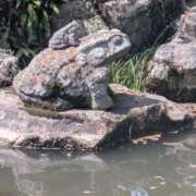 ヒメ日記 2026/04/16 07:38 投稿 あやの 素人妻達☆マイふぇらレディー