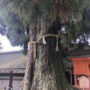 ヒメ日記 2026/05/22 09:58 投稿 あやの 素人妻達☆マイふぇらレディー