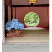 ヒメ日記 2026/06/11 08:28 投稿 あやの 素人妻達☆マイふぇらレディー