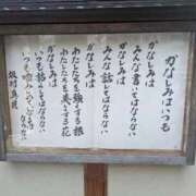 ヒメ日記 2026/07/20 06:58 投稿 あやの 素人妻達☆マイふぇらレディー