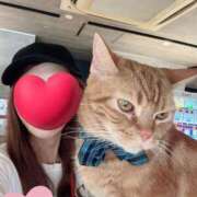 ヒメ日記 2025/03/10 02:46 投稿 こころ【3/5デビュー】 Aroma de TOKYO 三河店（岡崎・豊田・安城）