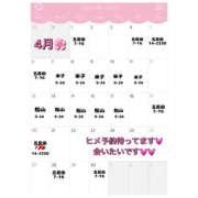 ヒメ日記 2025/04/08 18:57 投稿 ひかり ハピネス東京