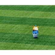 ヒメ日記 2025/06/09 22:37 投稿 ひかり ハピネス東京