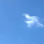 ヒメ日記 2025/06/16 09:37 投稿 ひかり ハピネス東京