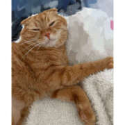 ヒメ日記 2025/10/19 09:07 投稿 ひかり ハピネス東京