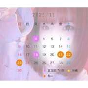 ヒメ日記 2025/10/27 21:17 投稿 ひかり ハピネス東京