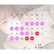 ひかり 4月もよろしくね🩷 ハピネス東京