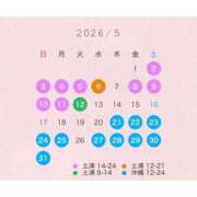 ヒメ日記 2026/04/28 17:07 投稿 ひかり ハピネス東京