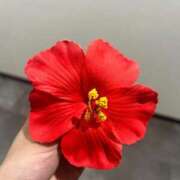 ヒメ日記 2025/04/01 14:38 投稿 ひなた ソープランド AQUA（アクア）