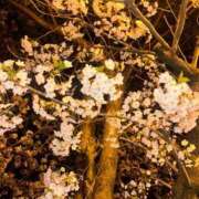 ヒメ日記 2025/05/09 22:08 投稿 ひなた ソープランド AQUA（アクア）