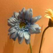 ヒメ日記 2025/07/14 00:08 投稿 ひなた ソープランド AQUA（アクア）