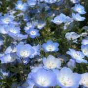 ヒメ日記 2025/07/31 23:39 投稿 ひなた ソープランド AQUA（アクア）