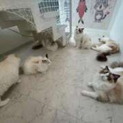 ヒメ日記 2025/11/06 22:40 投稿 ひなた ソープランド AQUA（アクア）