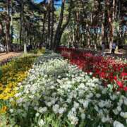 ヒメ日記 2026/04/27 13:08 投稿 ひなた ソープランド AQUA（アクア）