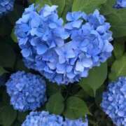 ヒメ日記 2026/06/18 17:52 投稿 まりな スイカ