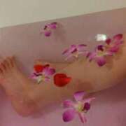 ヒメ日記 2025/03/22 12:07 投稿 福永 あなたに逢いたくて